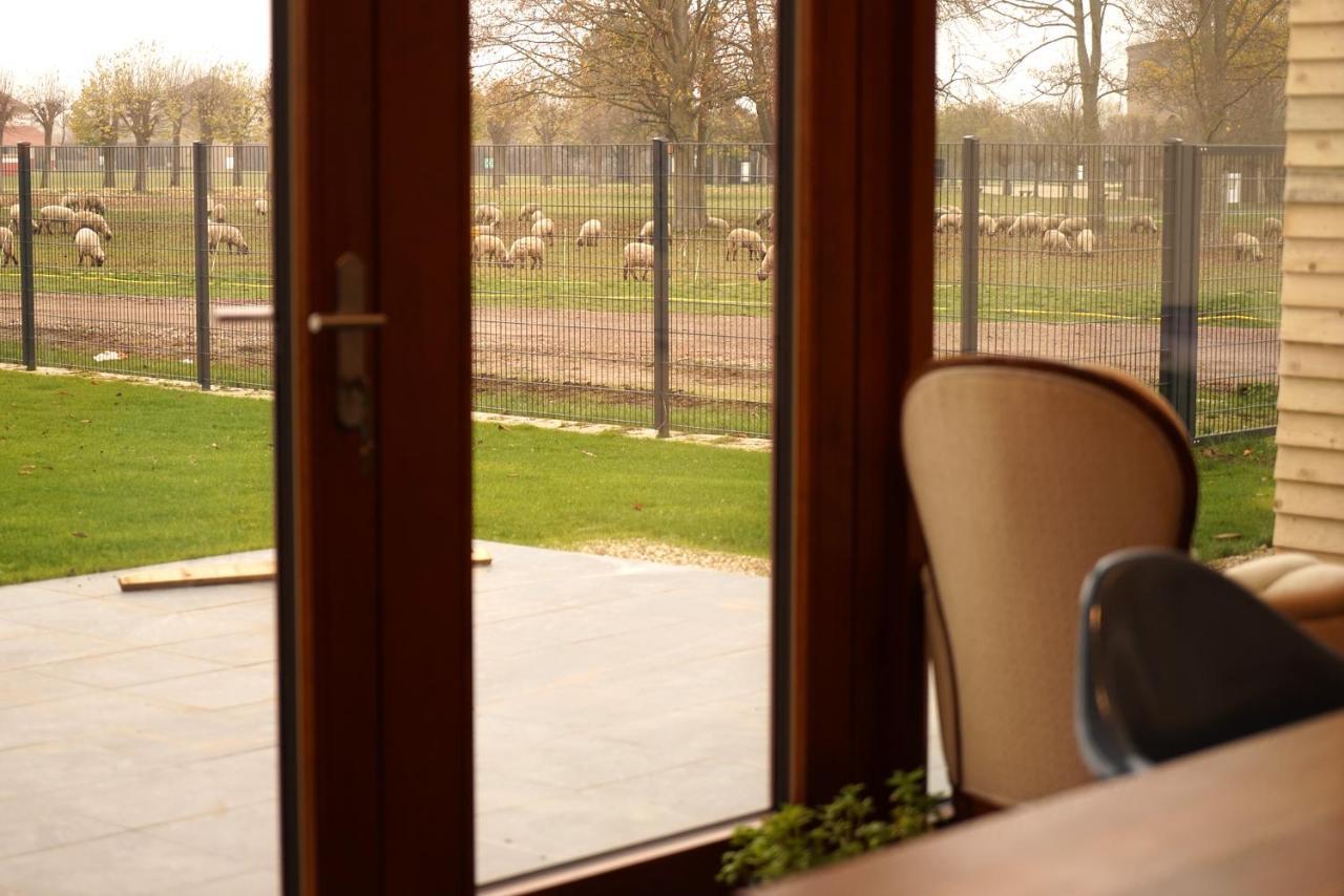 Stille, Aussicht Und Kunst Am Archaeologischen Park Xanten Buitenkant foto